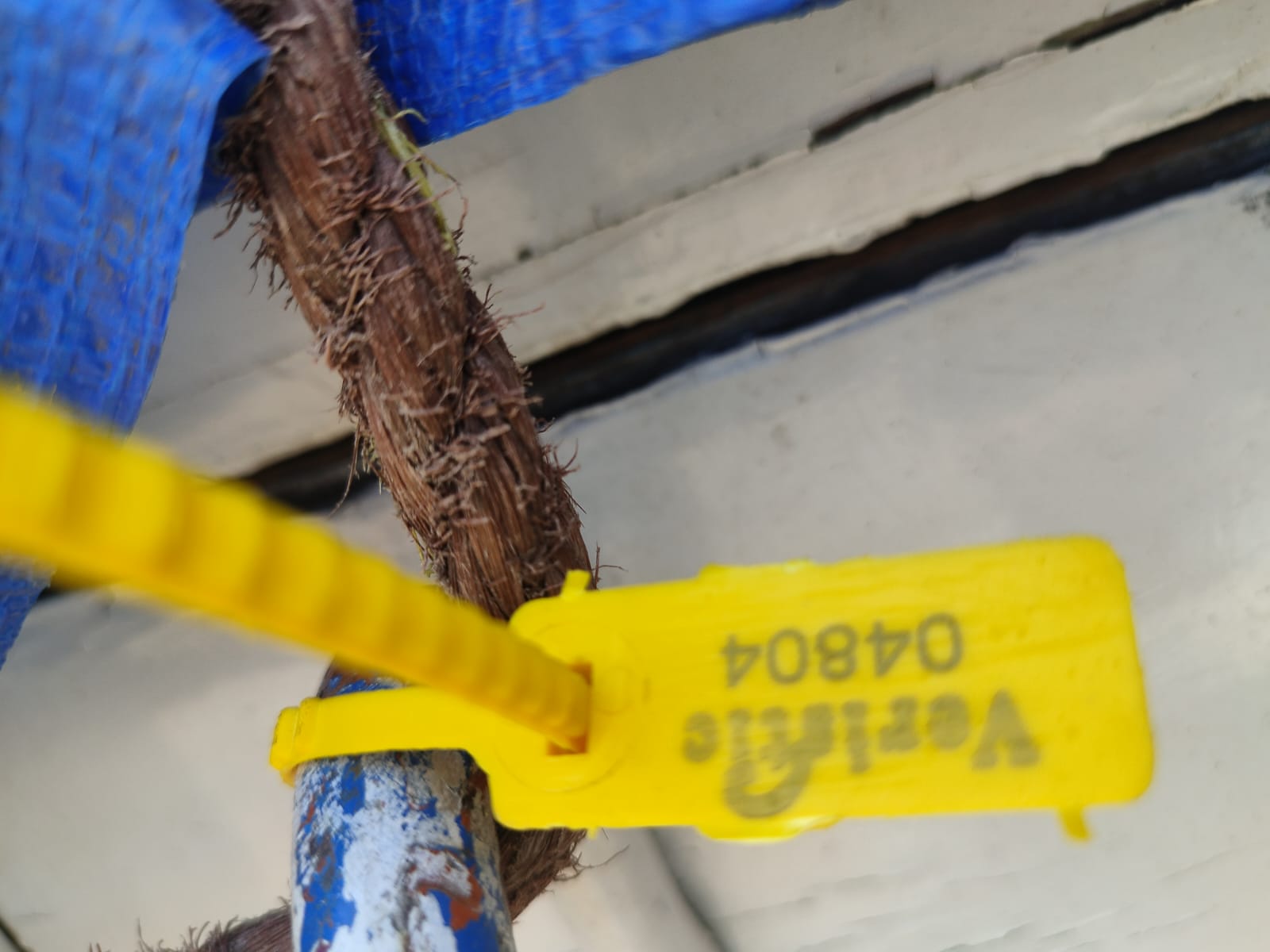 Yellow Veristic one-time branded security seal on a cargo consignment